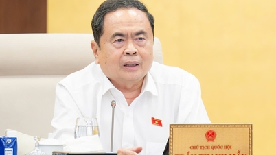 'Bây giờ đô thị như Đà Nẵng, Cần Thơ, Hải Phòng, Hà Nội cứ mưa là ngập'