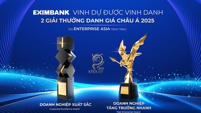 Eximbank - Perusahaan Asia yang Luar Biasa dan Perusahaan yang Berkembang Pesat 2025