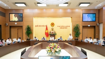 ຜູ້​ແທນ​ສະ​ພາ​ແຫ່ງ​ຊາດ​ກ່ຽວ​ກັບ​ການ​ຄຸ້ມ​ຄອງ​ແຜ່ນ​ດິນ​ຫາ​ຍາກ