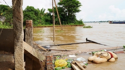 Dong Thap: Aardverschuiving op de oever van de Tien-rivier treft 11 huishoudens