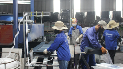 Xanh hoá sản xuất, nâng tầm thương hiệu Lào Cai