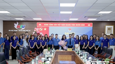 Nghe An Youth Newspaper and Radio and Television are proactive and creative in the digital transformation era