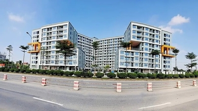Giảm lãi suất cho vay ưu đãi Chương trình cho vay nhà ở xã hội