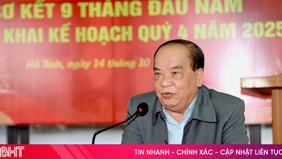 Que Lam organic farming model is safe from epidemics