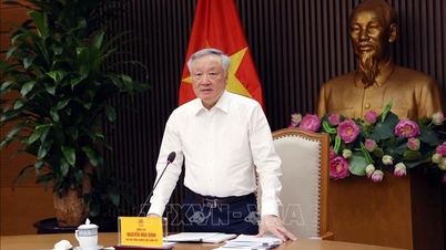 Hoàn thiện 8 nghị định về Trung tâm tài chính quốc tế với chất lượng tốt nhất