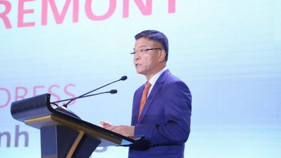 Wakil Perdana Menteri Le Thanh Long menghadiri Konferensi Tahunan LawAsia ke-38