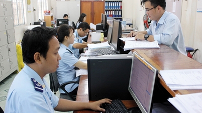 Institutional support for Hai Phong business development