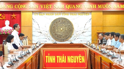 Viet Bac Mining Industry Corporation은 Thai Nguyen이 폭풍과 홍수의 여파를 극복하도록 지원합니다.