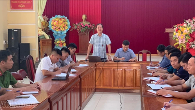 Mỏ Vàng: Nỗ lực ổn định đời sống Nhân dân sau thiên tai