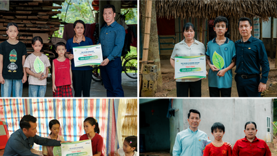 Sunshine Group continue de diffuser le voyage de « toucher les cœurs » à Phu Tho et Dong Thap avec « Couple de feuilles amoureuses »