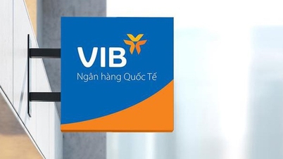 VIB hoàn tất nộp bổ sung 5,75 tỉ đồng tiền thuế