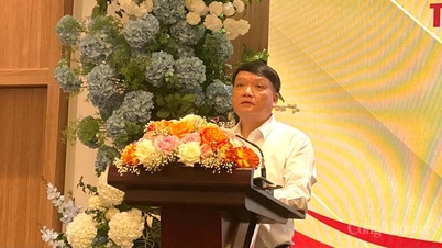 Hai Phong: İşletmelerin ASEAN serbest ticaret anlaşmalarını etkili bir şekilde kullanmalarına destek olmak