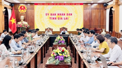 불법, 무보고, 무규제(IUU) 어업 근절을 위한 제17차 회의