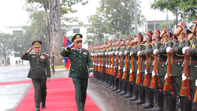 General Phan Van Giang held talks with the Lao Minister of National Defense.