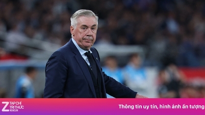 Co říkal trenér Ancelotti po prohře s Japonskem?