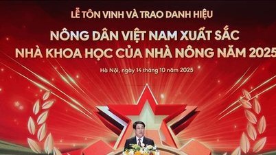Prezydent Luong Cuong: Budzenie i promowanie patriotyzmu oraz pragnienia legalnego wzbogacenia się wśród wietnamskich rolników