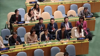 Vietnam terpilih kembali menjadi anggota Dewan Hak Asasi Manusia PBB untuk masa jabatan 2026-2028