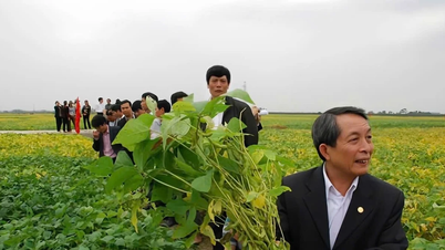 Professor Dr. Tran Dinh Long, von den Feldern im Mittelland zu einem herausragenden Bürger der Hauptstadt