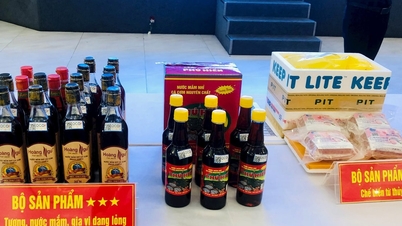 水産業界における一貫生産(OCOP)製品の利点の促進