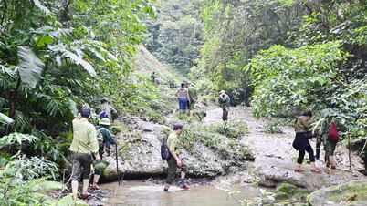 Many households escape poverty thanks to forest protection