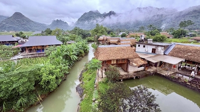 ភ្ញៀវទេសចរ​អូស្ត្រាលី​ភ្ញាក់ផ្អើល​នឹង​ជ្រលង​ភ្នំ​ដ៏​ស្រស់​ស្អាត​ក្នុង​ទីក្រុង Lao Cai