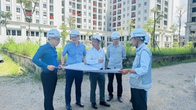 低所得者が社会住宅にアクセスする機会
