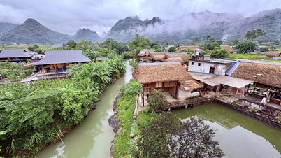 អ្នកទេសចរអូស្ត្រាលីភ្ញាក់ផ្អើលនឹងជ្រលងភ្នំព្រៃដ៏ស្រស់ស្អាតនៅ Lao Cai