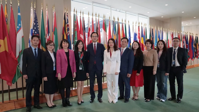 [Photo] Panorama de la réélection du Vietnam au Conseil des droits de l'homme des Nations Unies pour le mandat 2026-2028