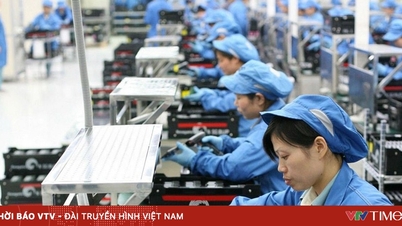 Niềm tin doanh nghiệp châu Âu tại Việt Nam cao nhất 3 năm