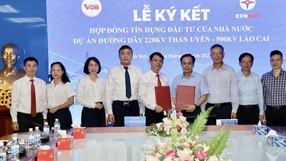 EVNNPT และ VDB ลงนามสัญญาสินเชื่อเพื่อลงทุนในสายส่งไฟฟ้า 220kV Than Uyen - 500kV Lao Cai