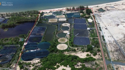 O caso da compensação de "0 VND" por terras no Parque Industrial Son My I: Um veredito justo e razoável criará impulso para o desenvolvimento de toda a região.
