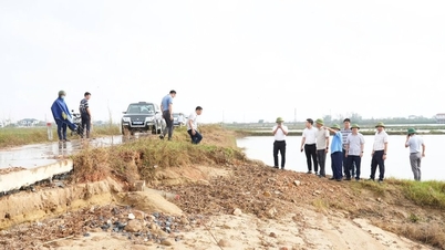 Đê sông, đê biển ở Nghệ An trước thách thức thiên tai