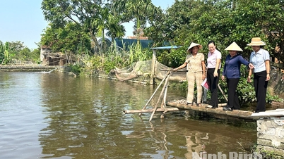 ສິນເຊື່ອນະໂຍບາຍ “ປຸກລະດົມ” ຄວາມມຸ່ງມາດປາດຖະໜາຢາກຮັ່ງມີຂອງປະຊາຊົນເຂດທະເລຢູ່ ນິງບິ່ງ