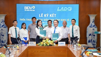 BIDV Binh Dinh, 녹색 전환 및 디지털 결제 촉진을 위해 협력