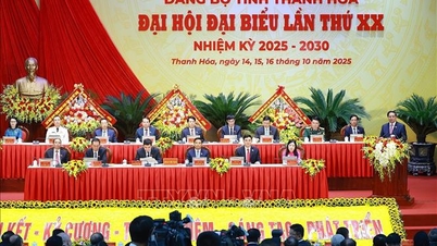 Thanh Hoa deve realizar suas aspirações de desenvolvimento.