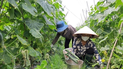 Giảm nghèo bền vững - hành trình nhân văn của Thủ đô Hà Nội