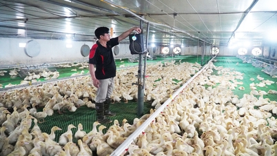 Bac Ninh memiliki 3 orang yang dihormati sebagai petani Vietnam dan ilmuwan petani terkemuka.