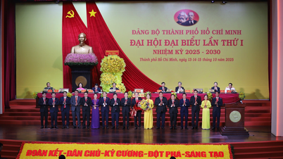 Peluncuran Komite Inspeksi Komite Partai Kota Ho Chi Minh untuk masa jabatan 2025-2030