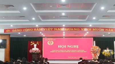 Thanh Hoa Tax est déterminé à achever le plan annuel