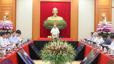 ト・ラム事務総長は科学技術開発、イノベーション、デジタル変革に関する会議の議長を務めた。
