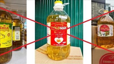 Phát hiện 6 loại dầu ăn giả, kém chất lượng đã phân phối trên thị trường