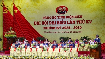 디엔비엔은 녹색, 스마트, 지속 가능한 경제로 발전합니다