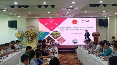 Necessidade de um mecanismo de crédito inovador para o projeto de arroz de alta qualidade de 1 milhão de hectares no Delta do Mekong