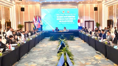 Khai mạc Hội nghị SOMS + Nhật Bản lần thứ 8: Hướng đến mục tiêu phát triển bền vững trong khu vực và châu lục