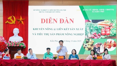 Kiều Phú đẩy mạnh liên kết tiêu thụ nông sản an toàn, hướng đến phát triển bền vững