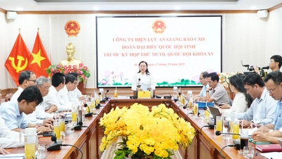 A Delegação da Assembleia Nacional Provincial trabalhou com a An Giang Electricity Company
