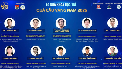 2025 میں گولڈن گلوب ایوارڈ حاصل کرنے والے ٹاپ 10 نوجوان سائنسدانوں کا اعلان