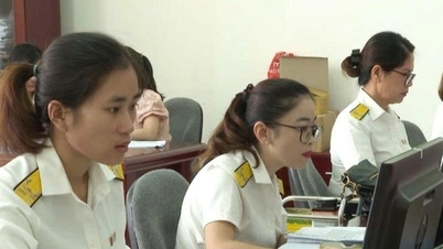 การจัดเก็บภาษีของจังหวัดกวางงายมีความเข้มข้นสูงในช่วง 3 เดือนสุดท้ายของปี