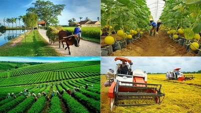 Quang Ngai mendorong investasi di bidang pertanian dan daerah pedesaan.