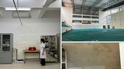 Hampir 100 miliar VND anggaran dihabiskan untuk perbaikan, tetapi sekolah Ams "lebih bocor"